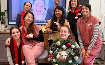 BIG NEWS!! The space found us