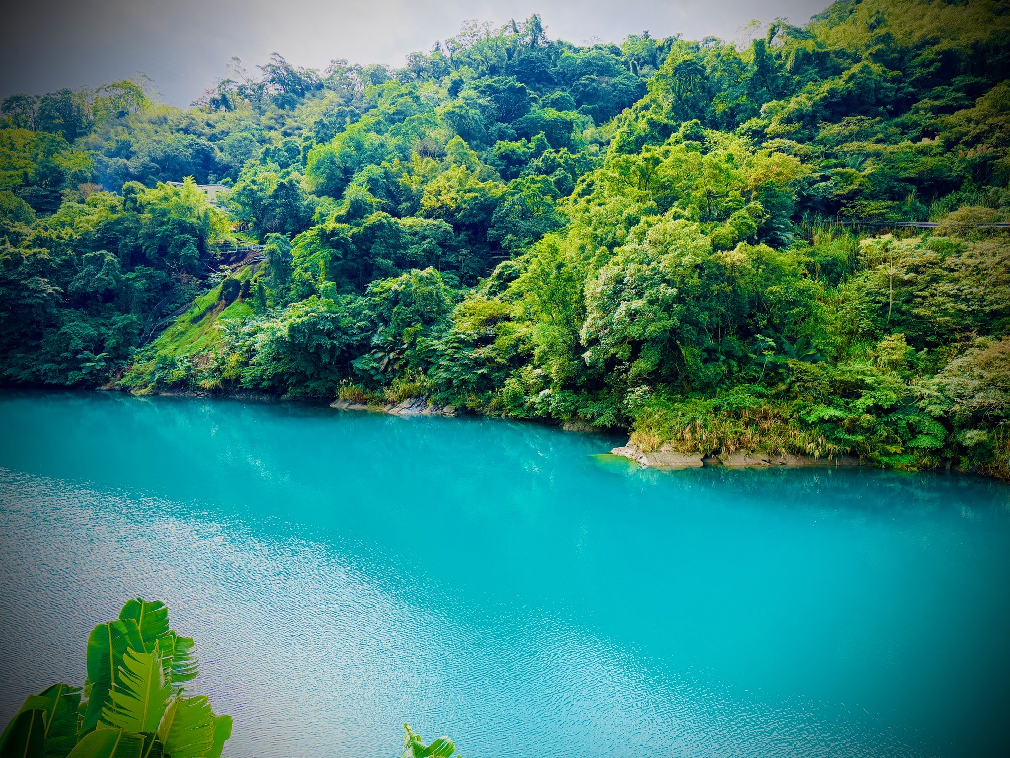 Integrative Wellness team at Feed Real