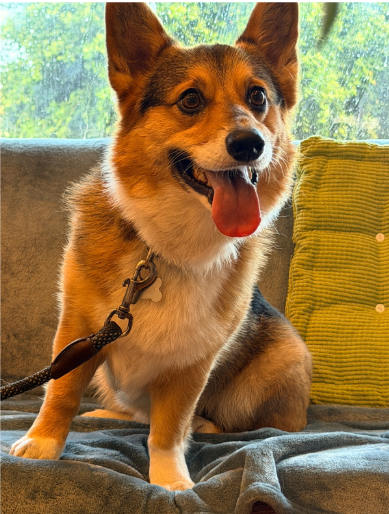 Integrative Wellness team at Feed Real