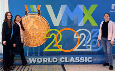 Wait… you don’t have kennels?