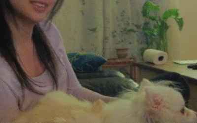 You are twice as likely to survive grief if you have a dog 💜