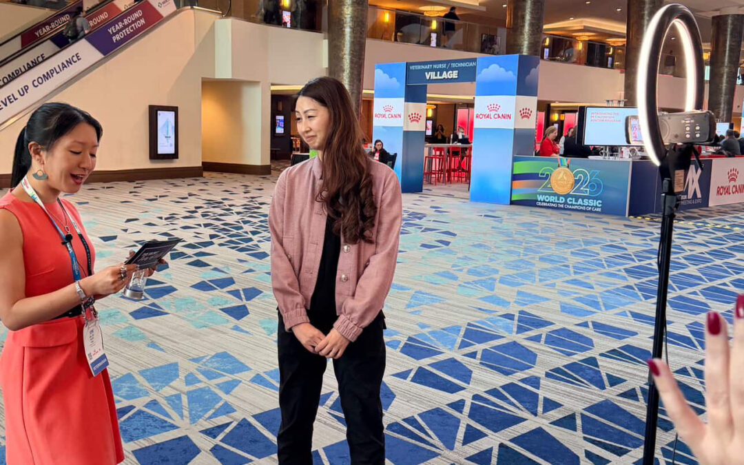 A Confession From Your Vet