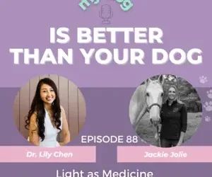Episode 88: Light as Medicine (and Why Your Pet Is Starving for It) – With Jackie Jolie