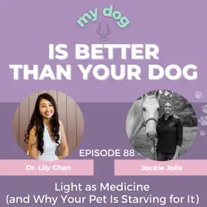 Podcast episode 87 cover