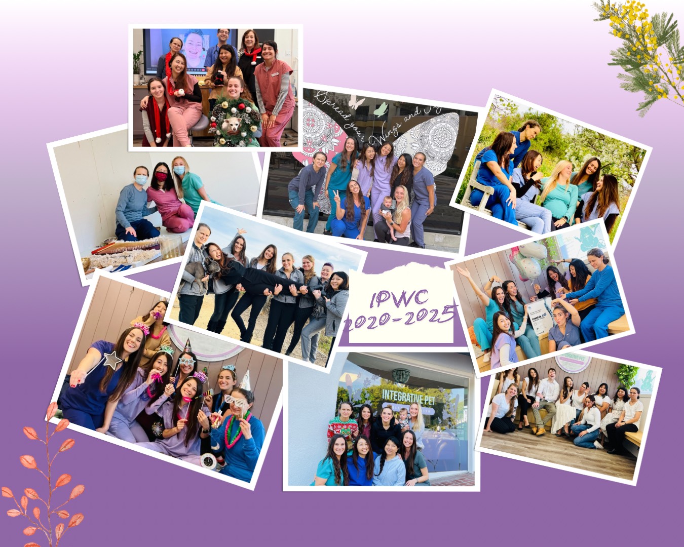 Integrative Wellness team at Feed Real