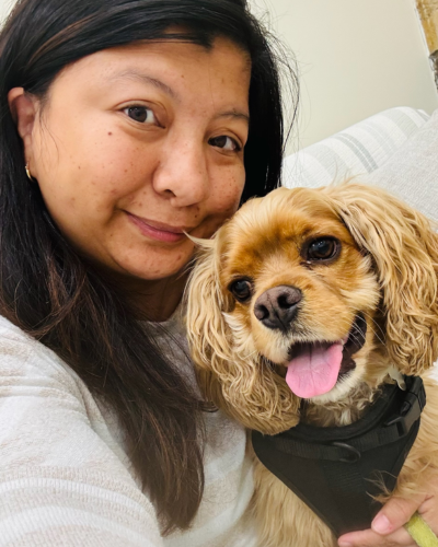 a dog sitting on a couch