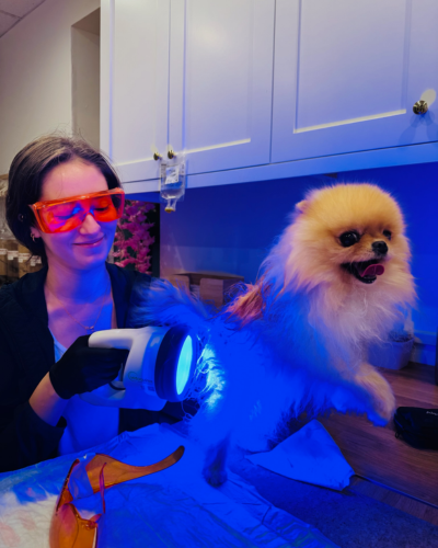 two vet staff wearing orange glasses