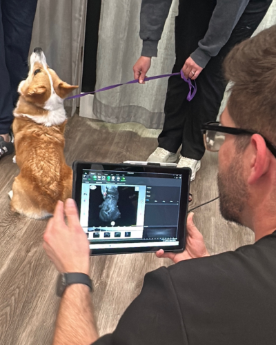 a vet holding a dog on a leash
