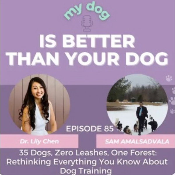 Episode 85 cover photo