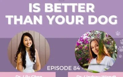 Episode 84: Leaving Veterinary Medicine Better Than She Found It: One Vet’s Mission | Dr. Lindsey Wendt