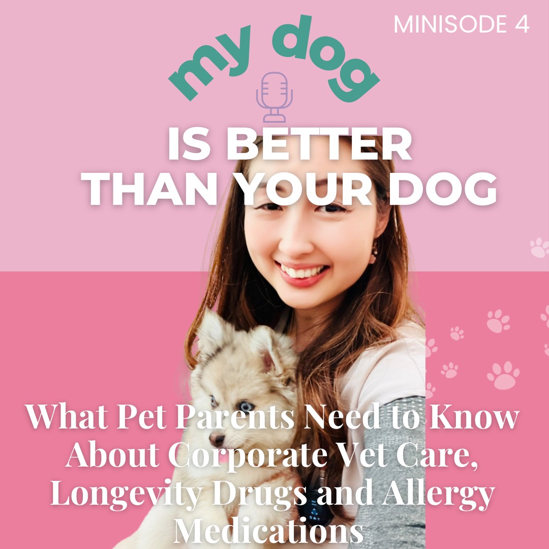 My Dog is Better Than Your Dog Episode 93