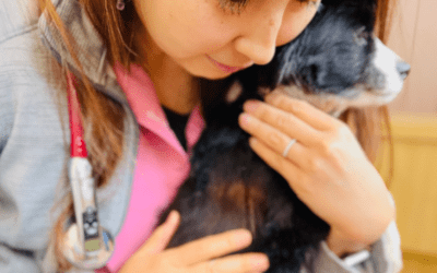 Your pet’s gut is talking to their brain. Are we listening?