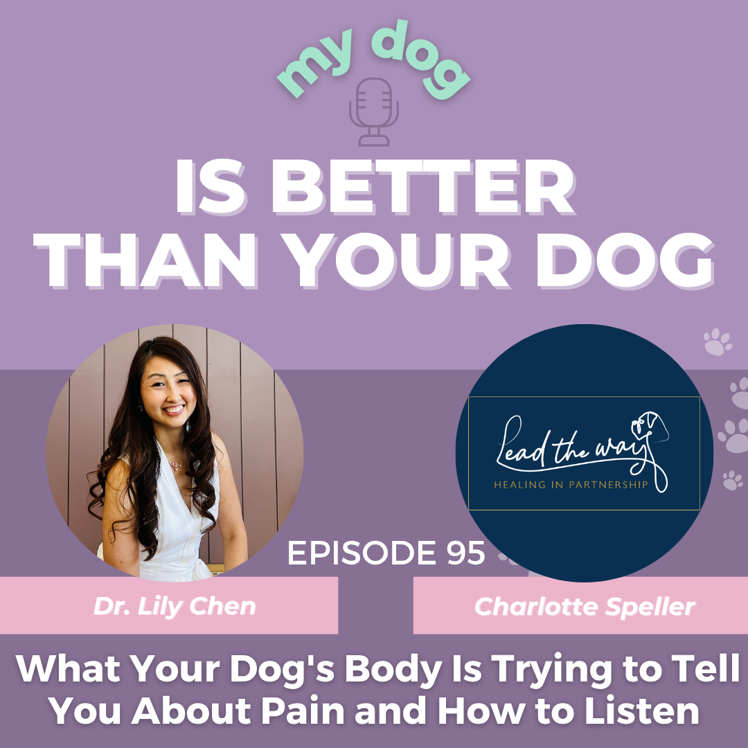 My Dog is Better Than Your Dog Episode 93
