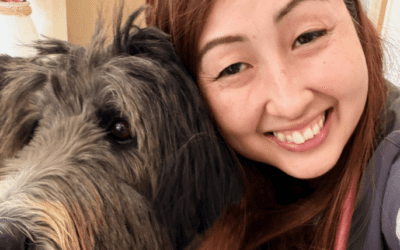 Is your pet actually healthy — or just stable?