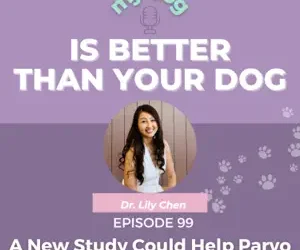 Episode 99: A New Study Could Save Parvo Puppies Faster and Cheaper w/ Dr. Lily Chen