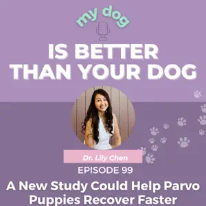 My Dog is Better Than Your Dog Episode 93