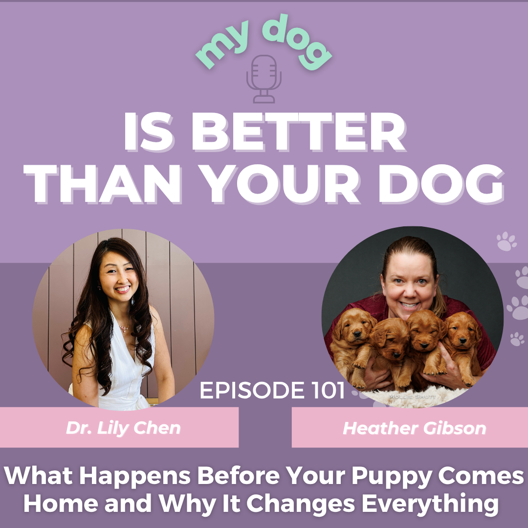 My Dog is Better Than Your Dog Episode 93