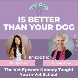 Episode 104: The Vet Episode Nobody Taught You in Vet School w/ Dr. Judy Jasek