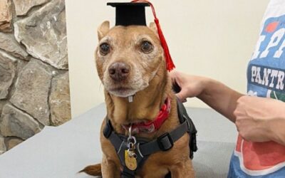 We Do Microbiome Graduations