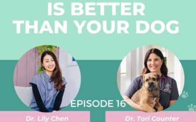 Episode 16: How “Paw Sha” aka Gua Sha for dogs can relieve pain and increase mobility with Dr. Tori