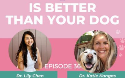 Episode 36: Struggling to find an integrative vet? How to get natural, holistic pet care from anywhere in the world w/ Dr. Katie Kangas