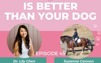 Episode 45: VetBilling: Turn your vet bills into a payment plan