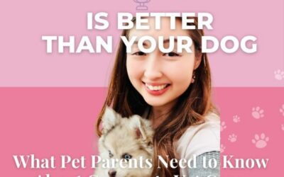 What Pet Parents Need to Know About Corporate Vet Care, Longevity Drugs and Allergy Medications