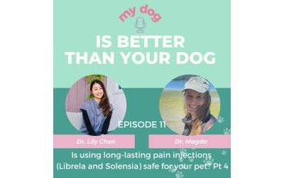 Episode 11: Is Using Long-lasting Pain Injections (Librela and Solensia) Safe For Your Pet? Pt 4