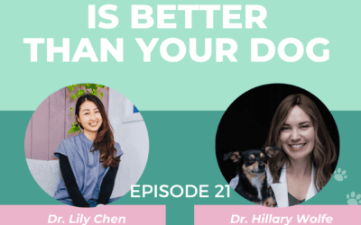 Episode 21: The Best Food For Your Dog